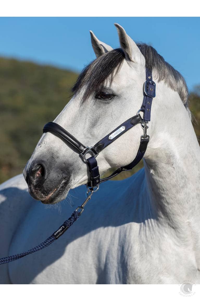 LeMieux Capella Headcollar Navy