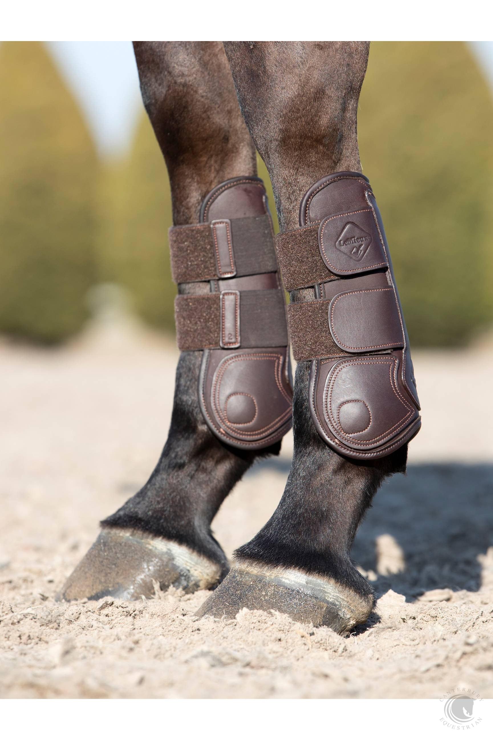 LeMieux Capella Tendon Boots Brown