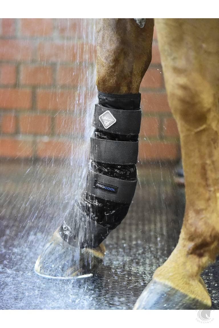 LeMieux Cold Water Boots