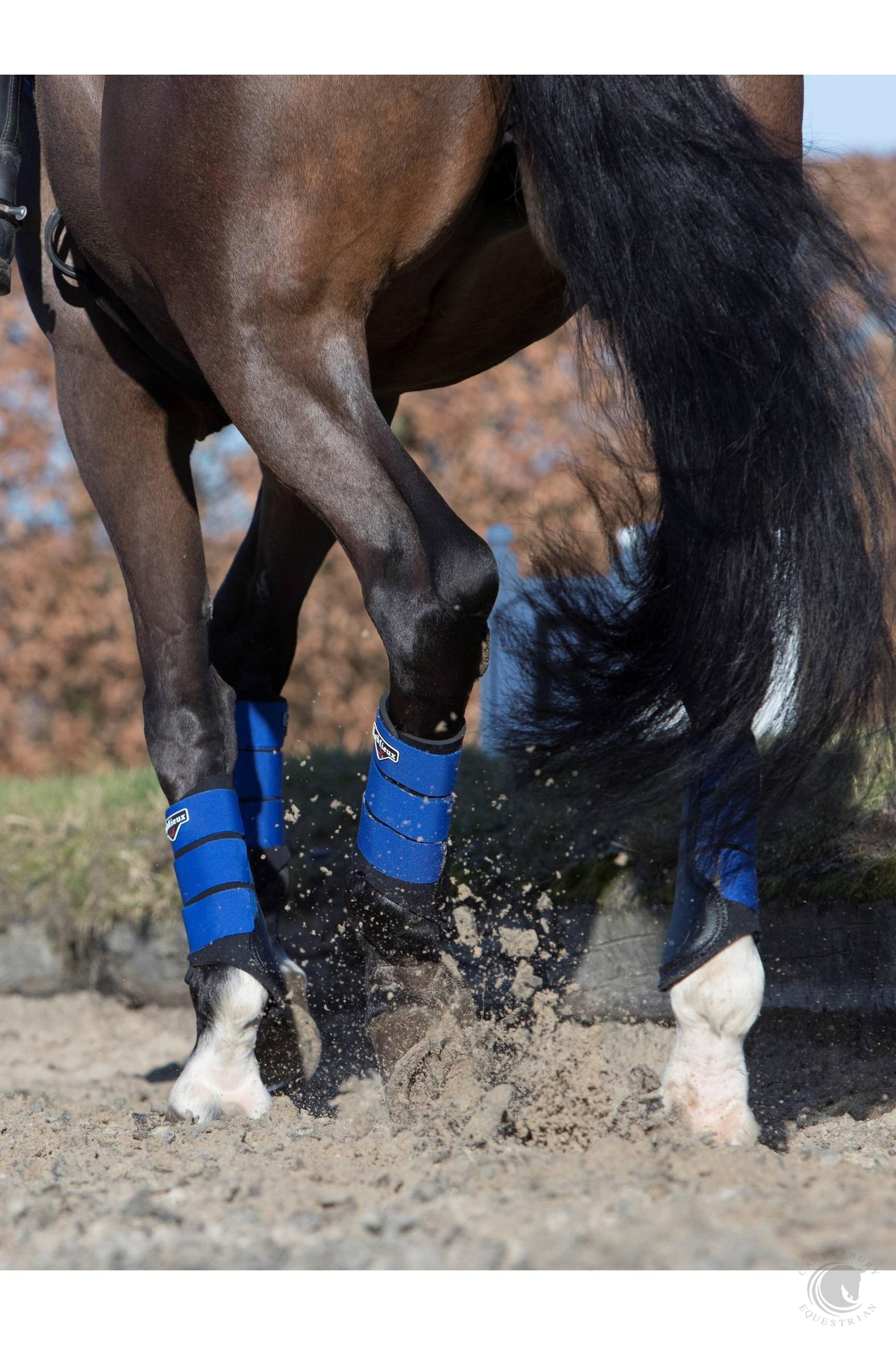 LeMieux Grafter Brushing Boot Benetton Blue