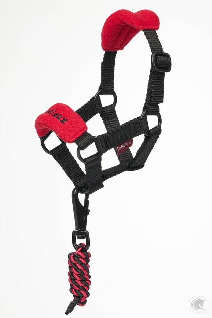 LeMieux Toy Pony Vogue Headcollar Chilli