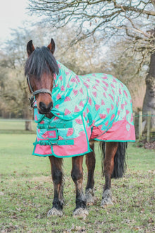  PONYO Watermelon 0gm with Detachable Neck