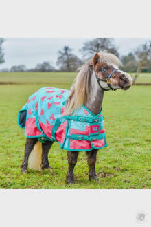  PONYO Watermelon 100gm with Detachable Neck