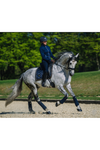 Equestrian Stockholm Dressage Pad Royal Classic