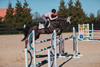 Equestrian Stockholm Jump Pad Desert Rose