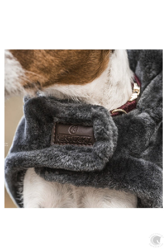 Kentucky Fake Fur Dog Coat - Grey