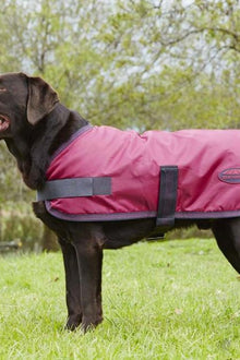  WB Windbreaker 420 Dog Coat