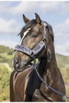LeMieux Comfort Headcollar 4 colours
