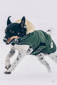  Kentucky Waterproof Dog Coat - Olive