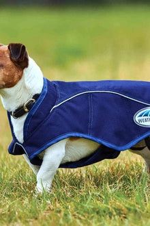  Weatherbeeta Exercise Dog Coat